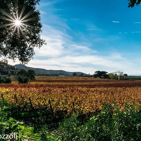 David Bilocale Wi-fi, Posto Auto, Giardino, Aria Condizionata Donoratico